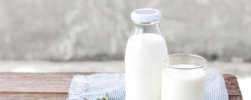 牛奶的饮用误区有哪些 如何用牛奶制作养生食谱 空腹可以喝牛奶吗