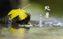 立秋前后可以种的蔬菜有哪些 立秋前后开什么花