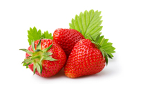 草莓有点烂还能吃吗 草莓烂一点能吃吗
